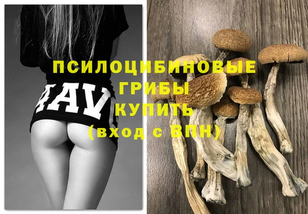 альфа пвп Каменск-Шахтинский
